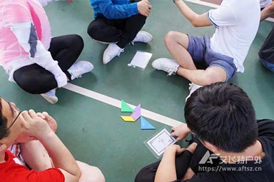 經(jīng)典管理培訓(xùn)項(xiàng)目介紹-七巧板